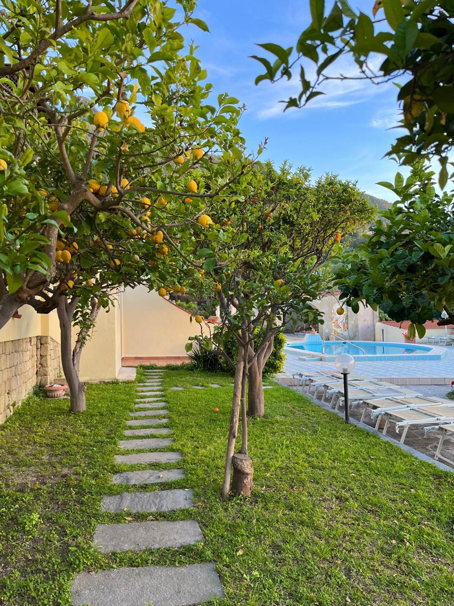 Resort Terme La Pergola Casamicciola Terme Eksteriør bilde