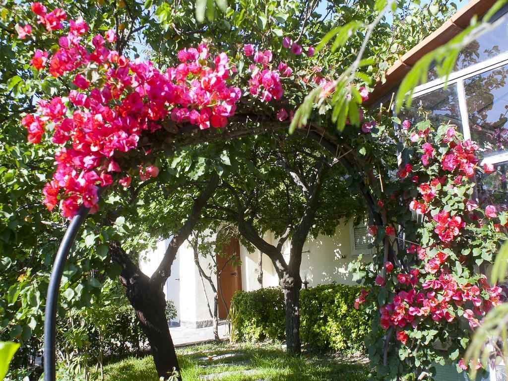 Resort Terme La Pergola Casamicciola Terme Eksteriør bilde
